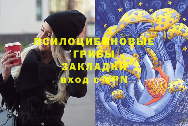 a pvp Корсаков