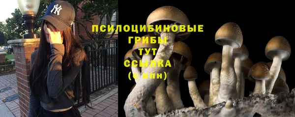 PSILOCYBIN Костерёво